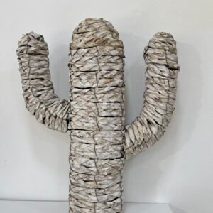 CACTUS RAFIA
